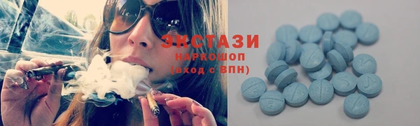 ГАЛЛЮЦИНОГЕННЫЕ ГРИБЫ Осинники
