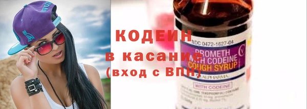 ГАЛЛЮЦИНОГЕННЫЕ ГРИБЫ Осинники