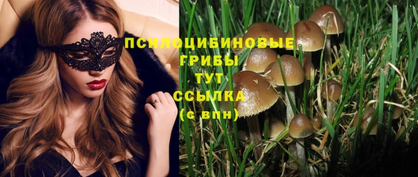ГАЛЛЮЦИНОГЕННЫЕ ГРИБЫ Осинники
