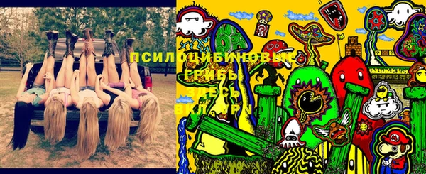 ГАЛЛЮЦИНОГЕННЫЕ ГРИБЫ Осинники