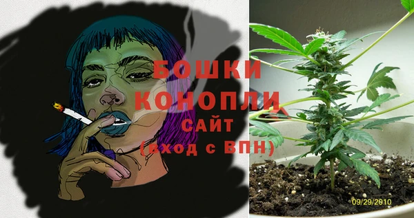 ГАЛЛЮЦИНОГЕННЫЕ ГРИБЫ Осинники