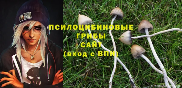 ГАЛЛЮЦИНОГЕННЫЕ ГРИБЫ Осинники
